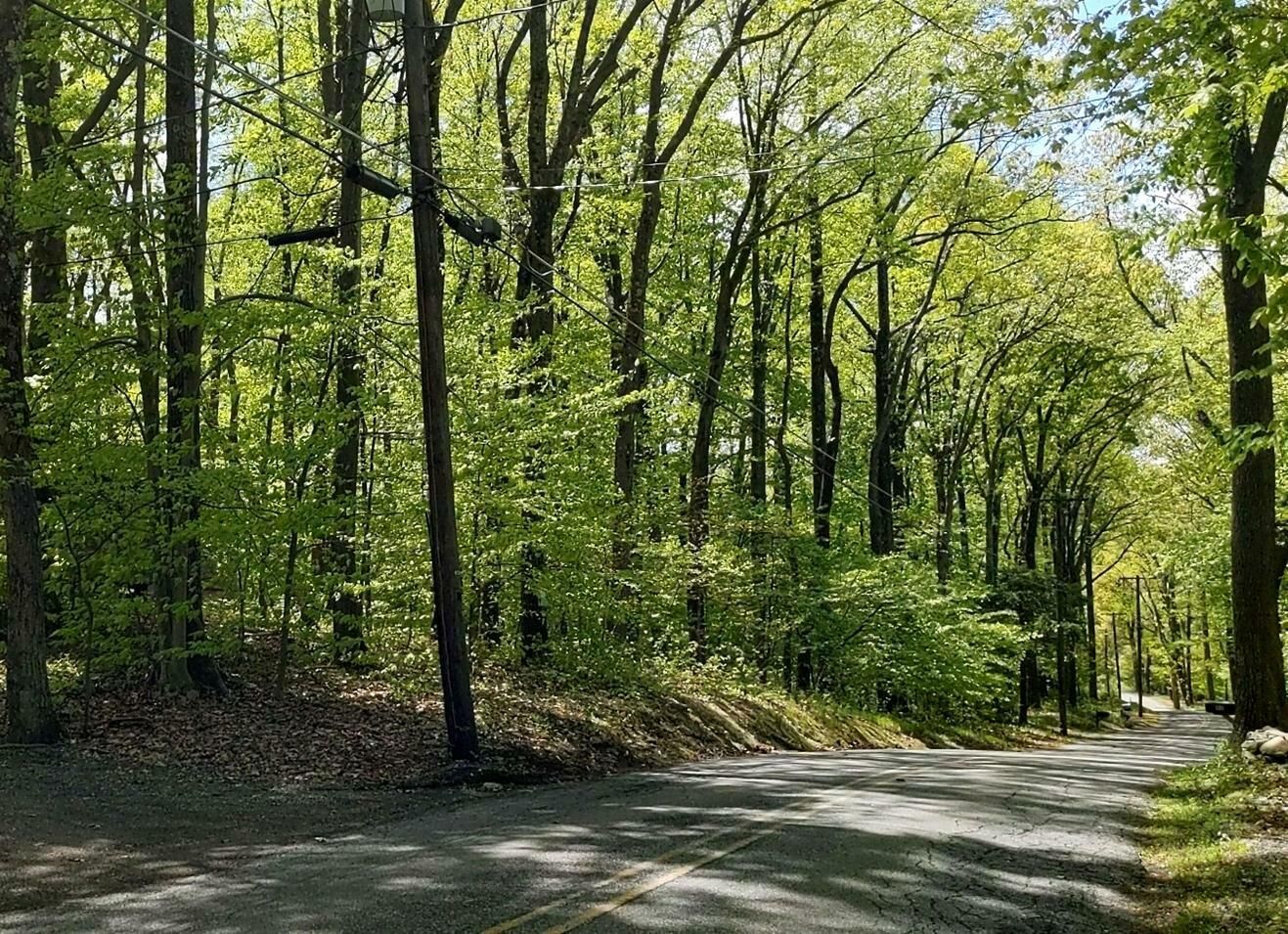 Great Meadows, Warren County, NJ Recreational Property, Undeveloped
