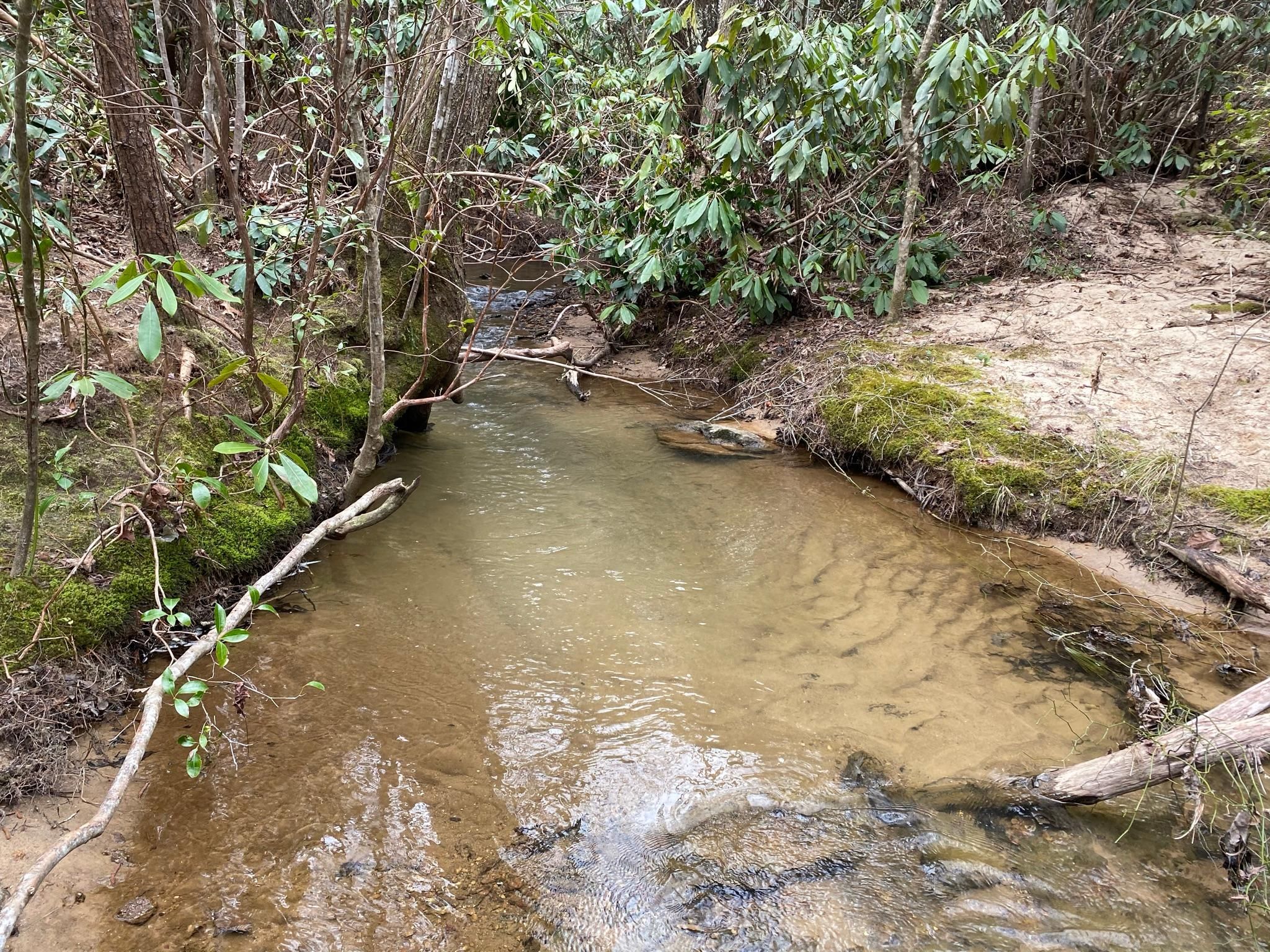 Hudson, Caldwell County, NC Recreational Property, Timberland Property