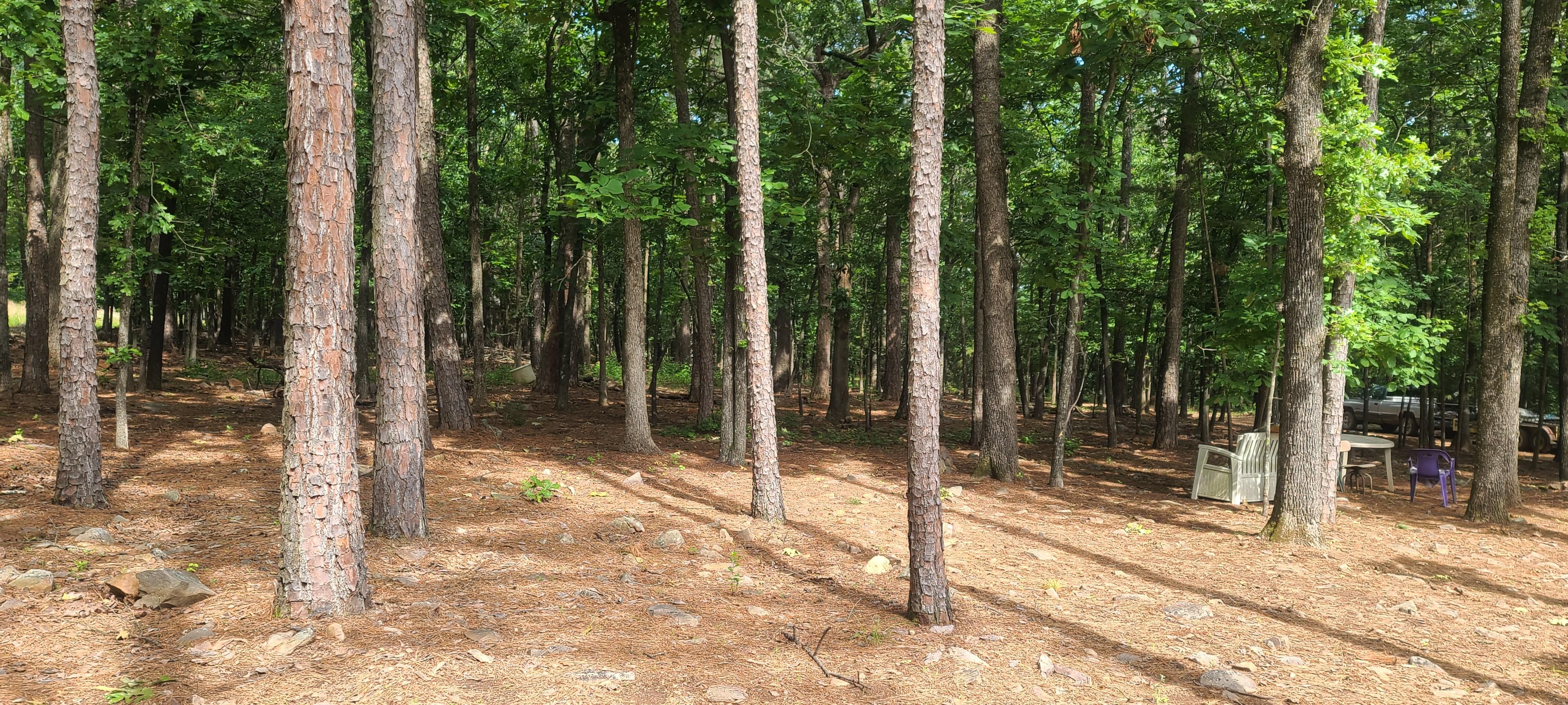 Havana, Yell County, AR Recreational Property, Hunting Property