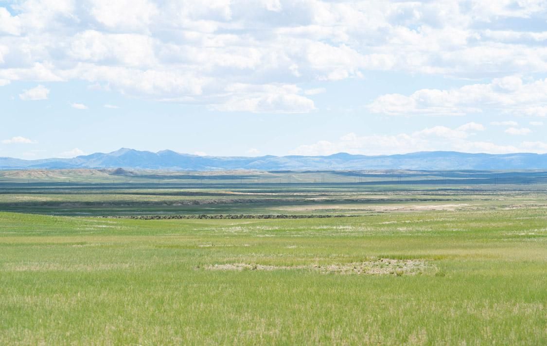 Waltman, Natrona County, WY Farms and Ranches, Undeveloped Land