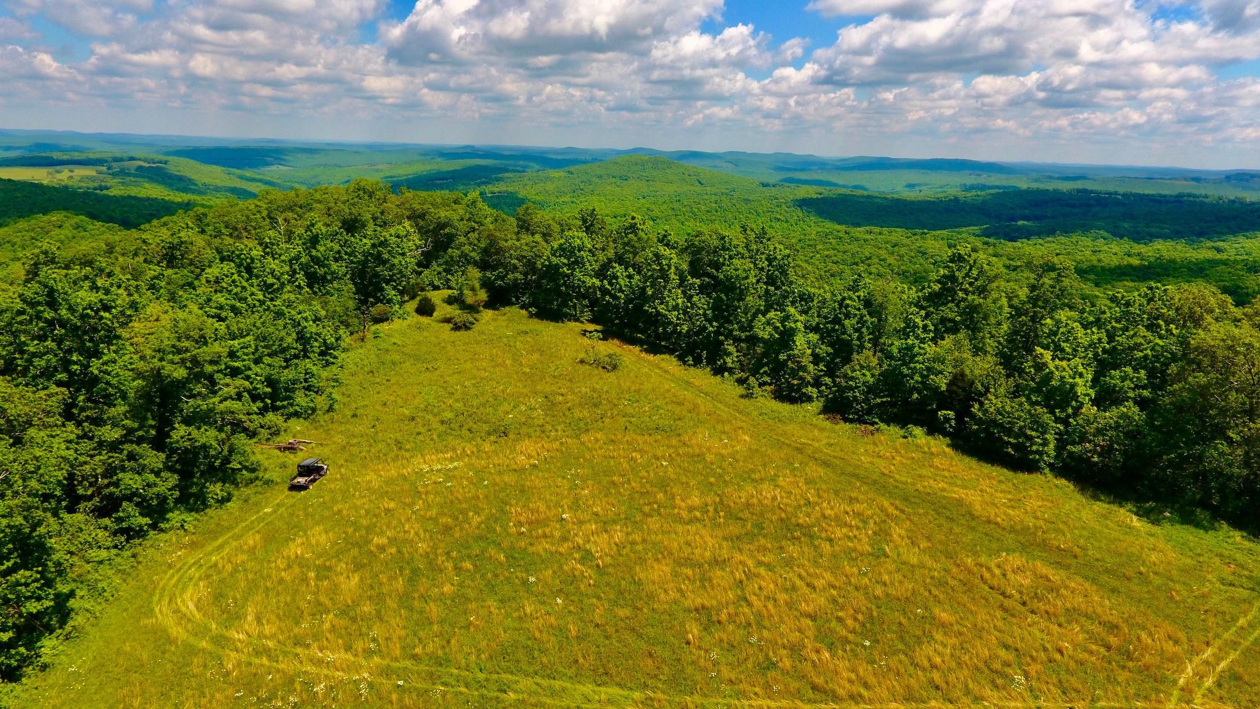 Pettigrew, Madison County, AR Recreational Property, Undeveloped Land