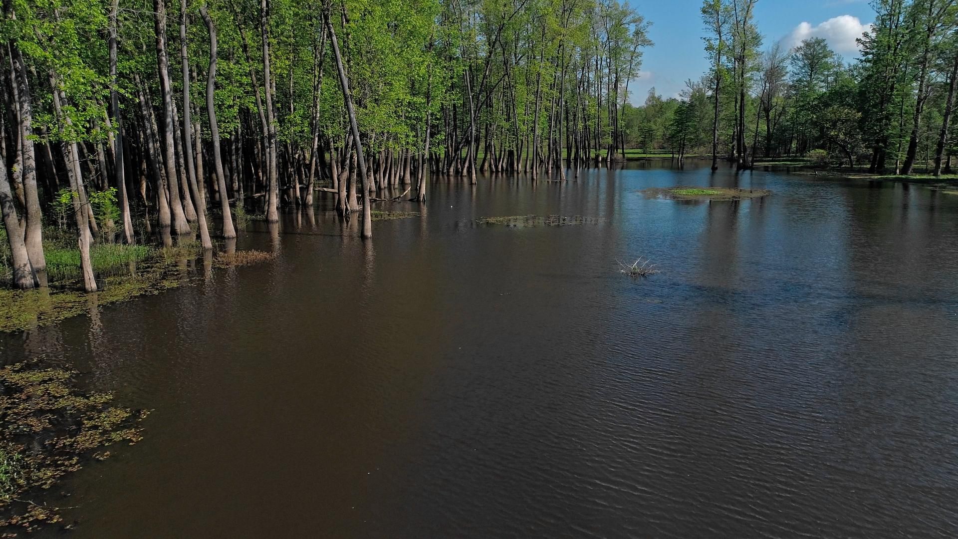 200 acres in Barlow, KY, 42024 LandWatch