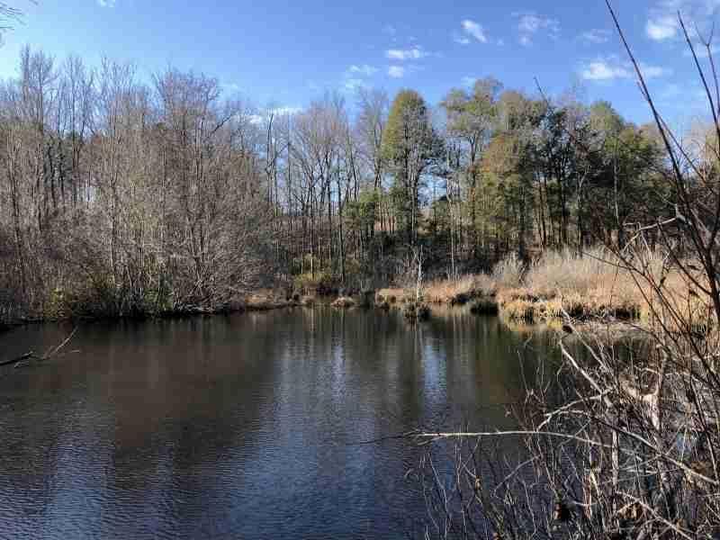 Waynesboro, Burke County, GA Recreational Property, Timberland Property
