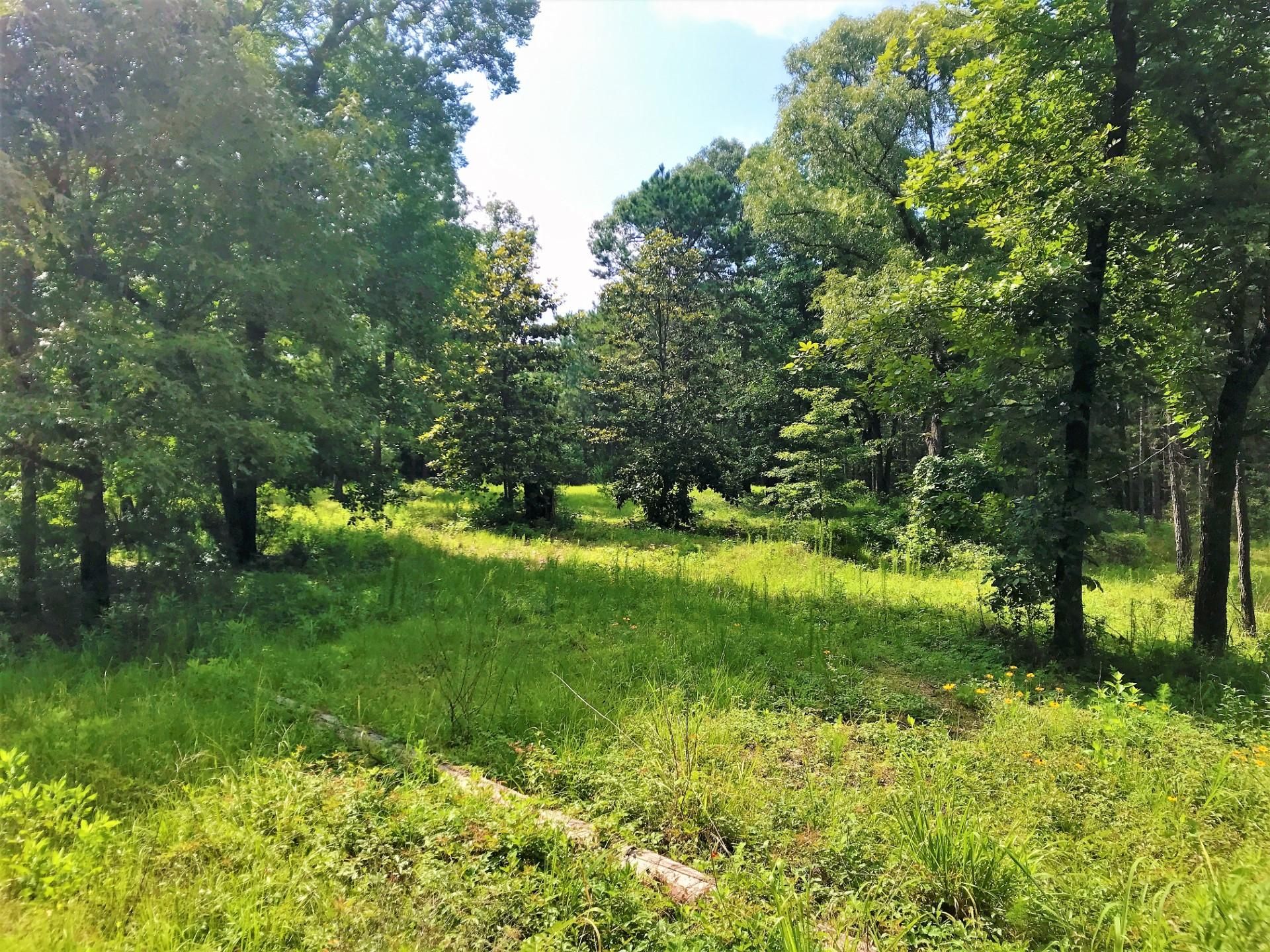 Colmesneil, Tyler County, TX Recreational Property, Hunting Property