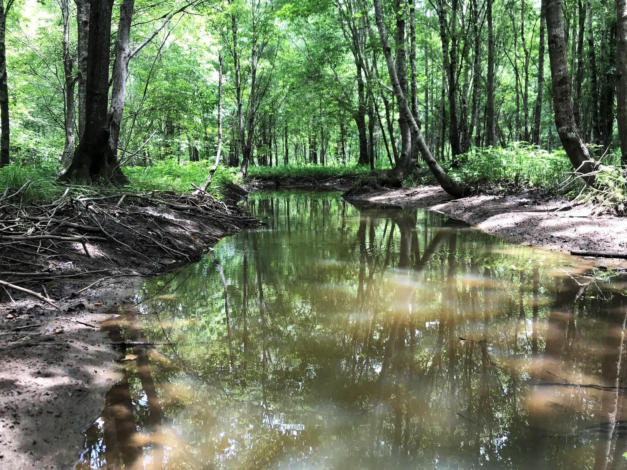 Irwinton, Wilkinson County, GA Recreational Property, Timberland
