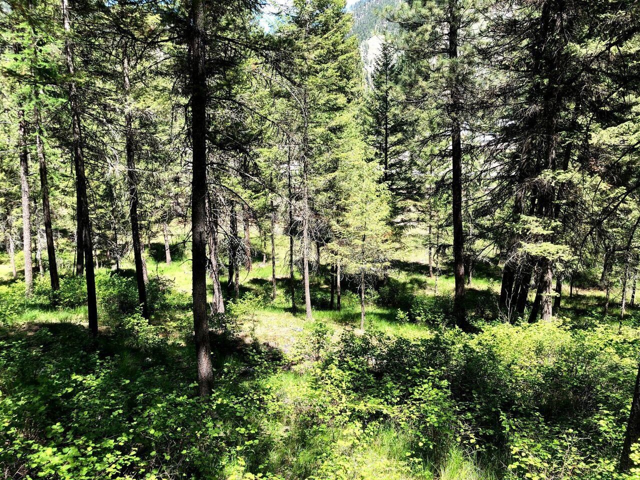 Superior, Mineral County, MT Undeveloped Land for sale Property ID