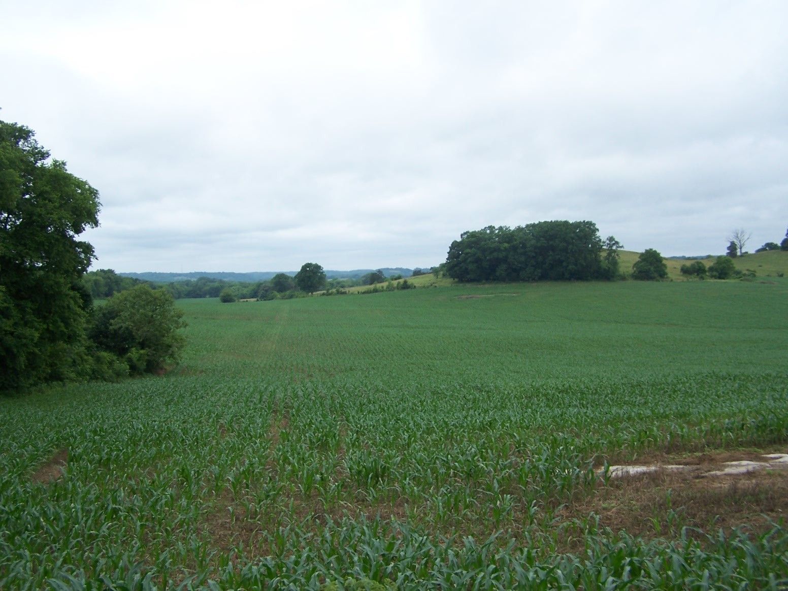 Pulaski, Giles County, TN Farms and Ranches, Recreational Property
