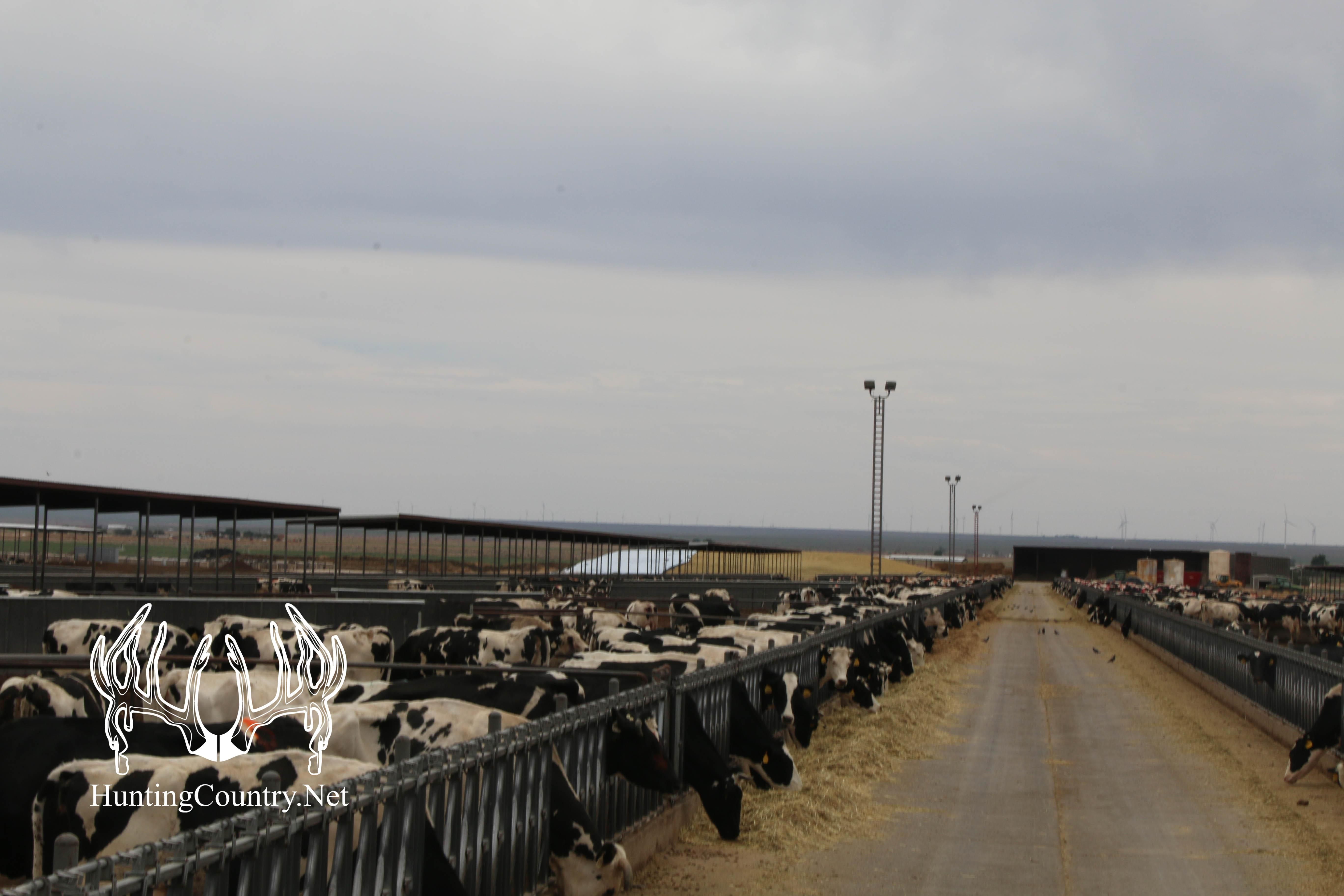 Portales, Roosevelt County, NM Farms and Ranches, Recreational Property