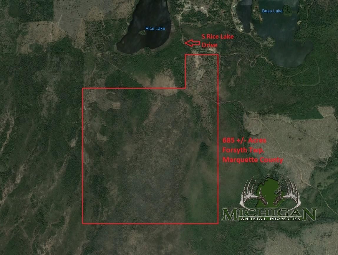 Gwinn, Marquette County, MI Recreational Property, Timberland Property