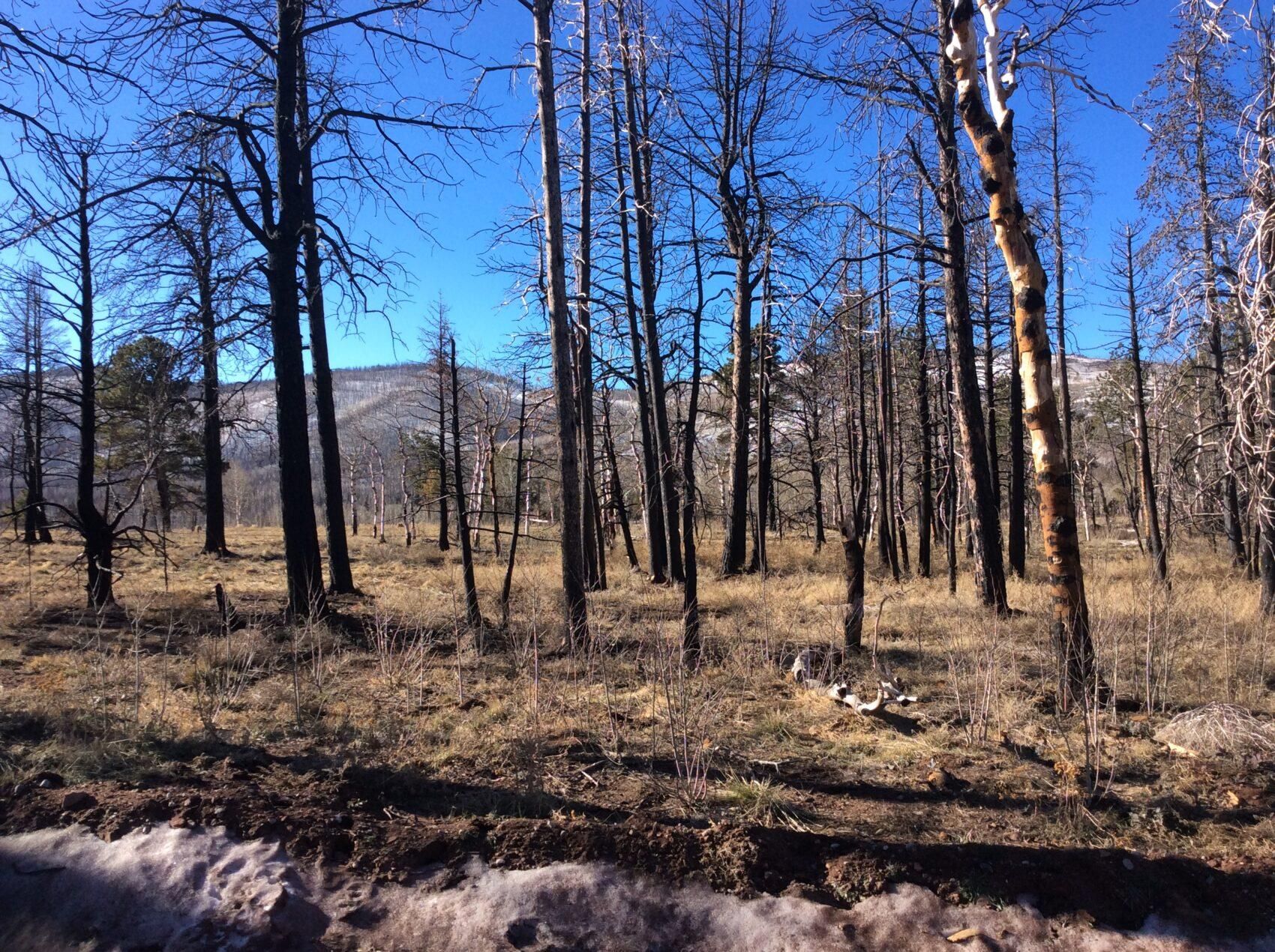 Fort Garland, Costilla County, CO Recreational Property, Hunting