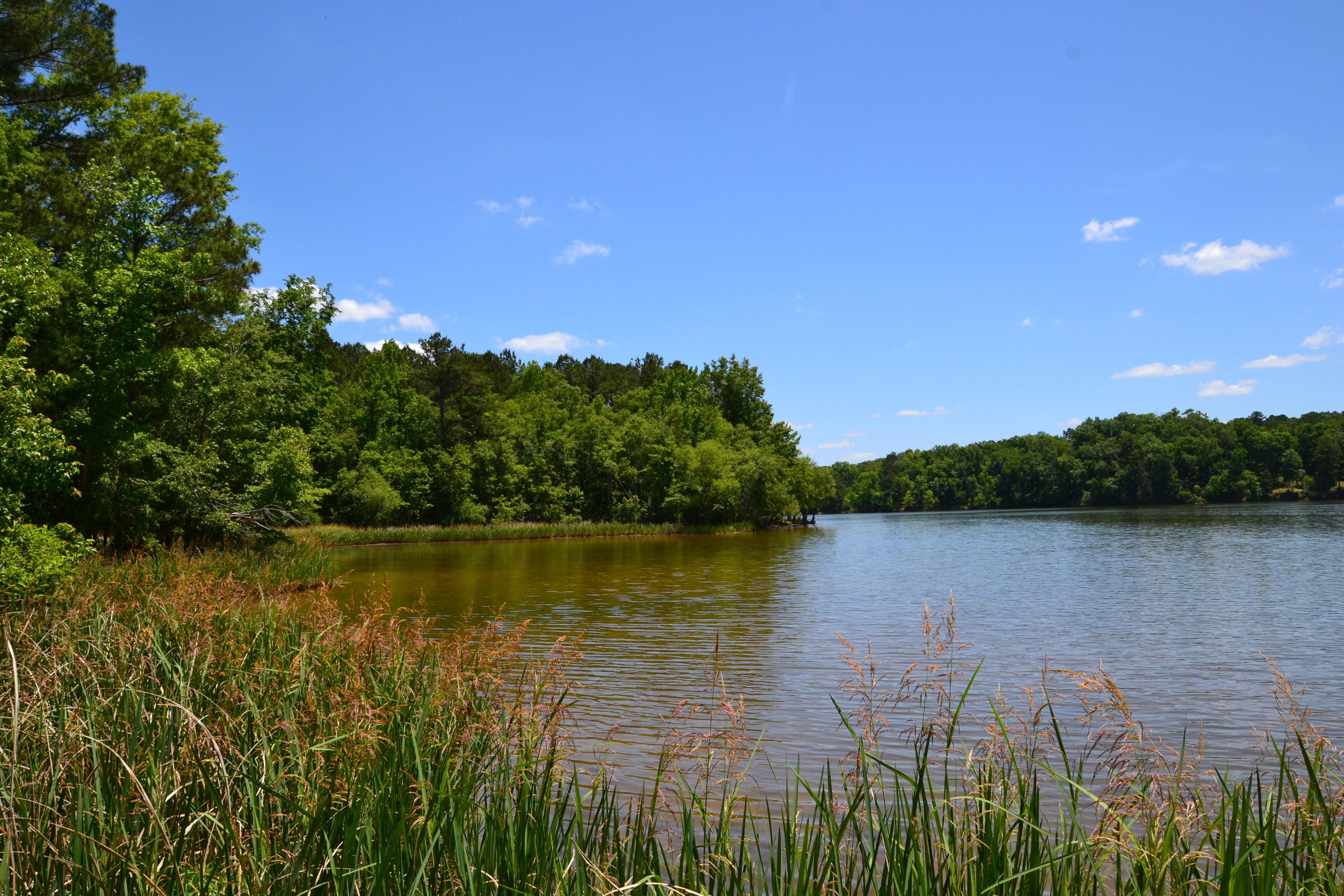 Winnsboro, Fairfield County, SC Recreational Property, Timberland Property, Lakefront Property