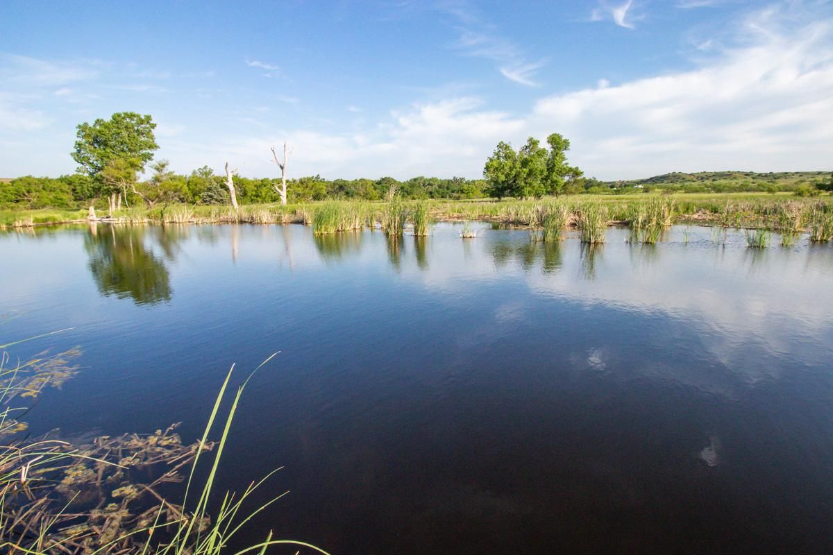 1,321.13 acres in Mclean, TX, 79057 MLS 224666 LandWatch