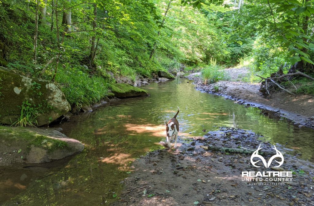 Coolville, Athens County, OH Recreational Property, Hunting Property