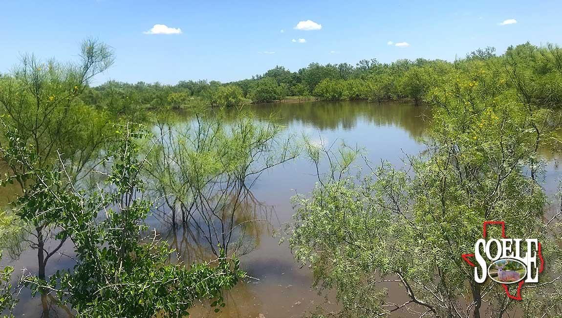 Tilden, McMullen County, TX Farms and Ranches for sale Property ID