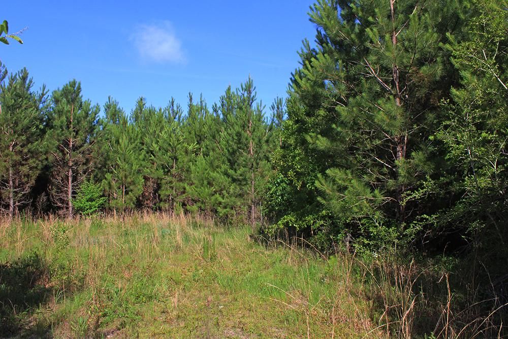 Purvis, Lamar County, MS Recreational Property for sale Property ID