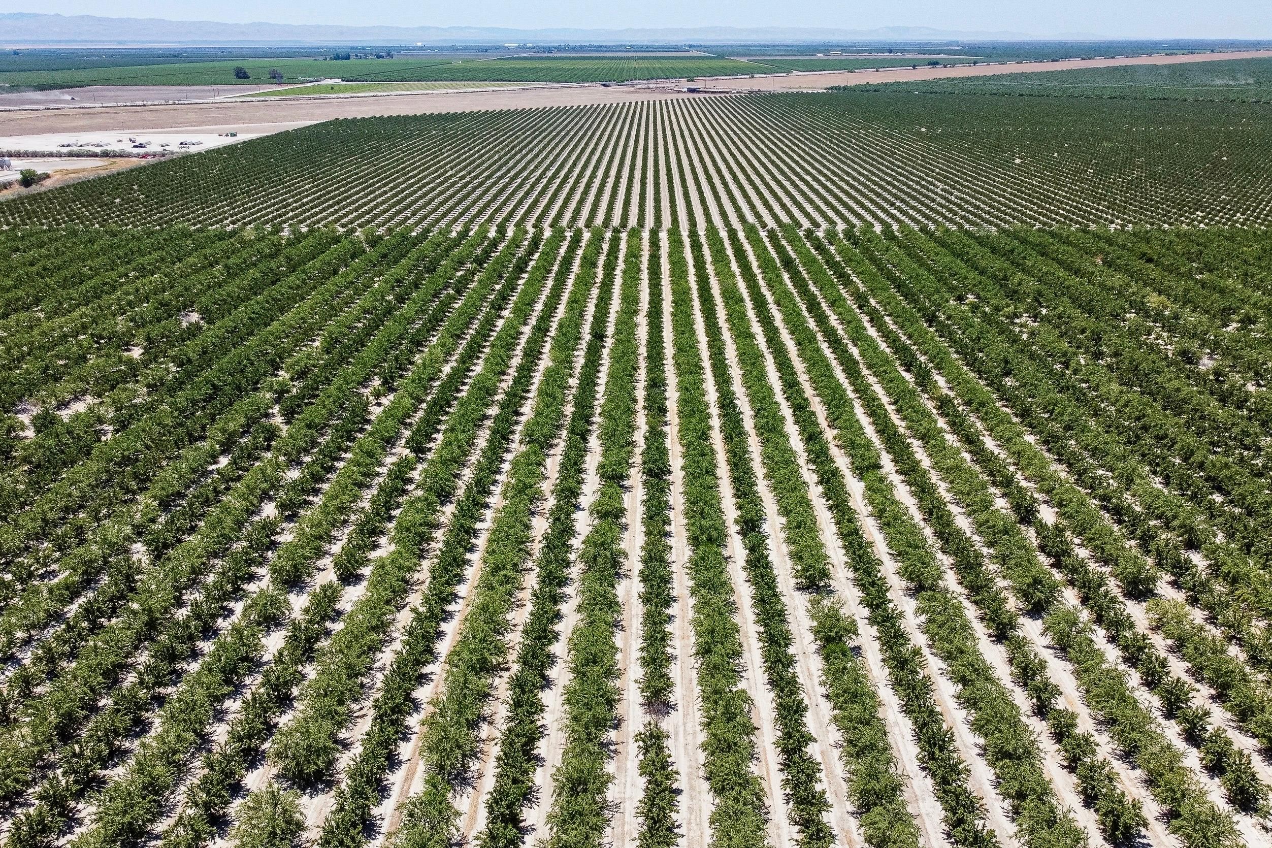 San Joaquin, Fresno County, CA Farms and Ranches for sale Property ID