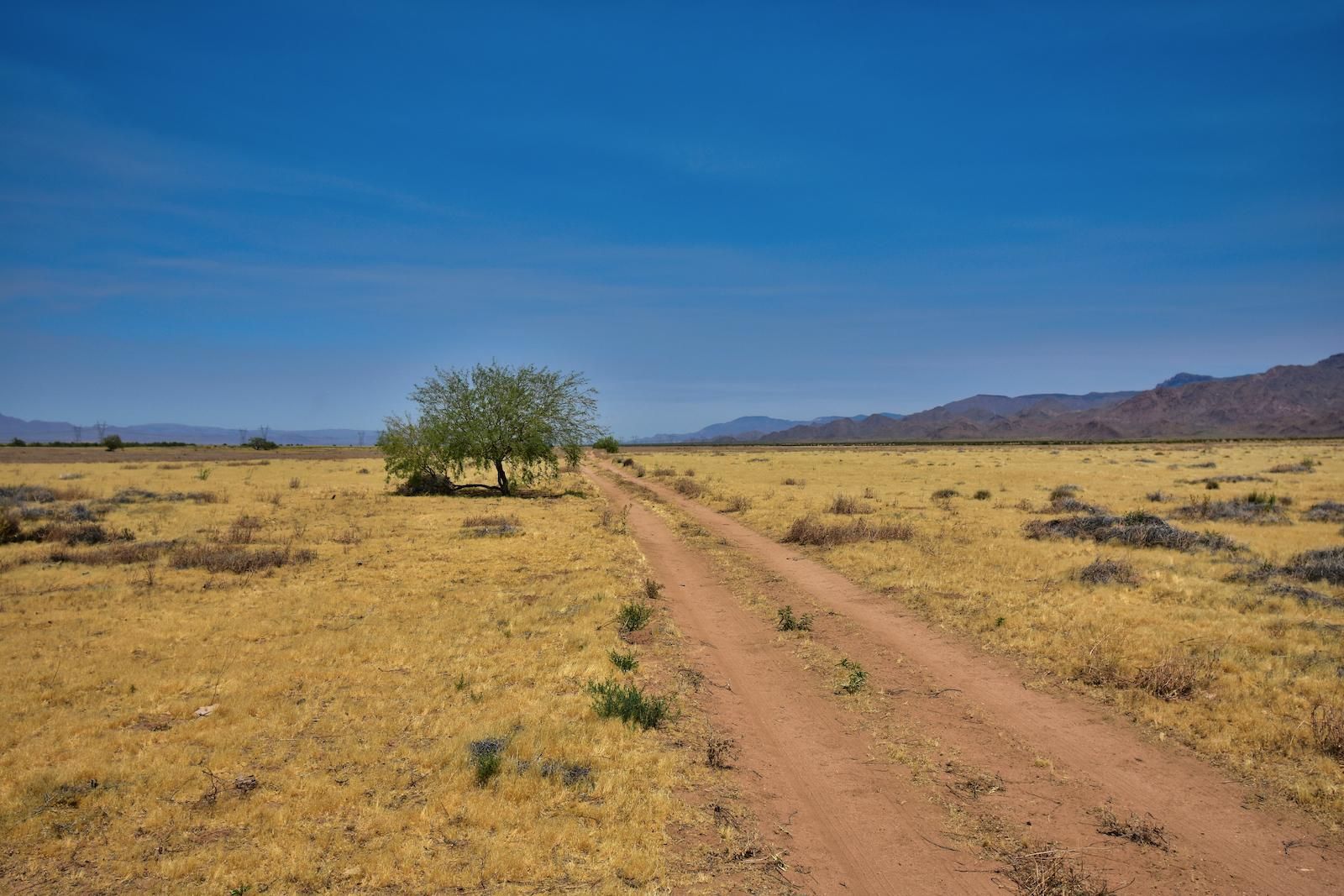 Hackberry, Mohave County, AZ Recreational Property, Undeveloped Land