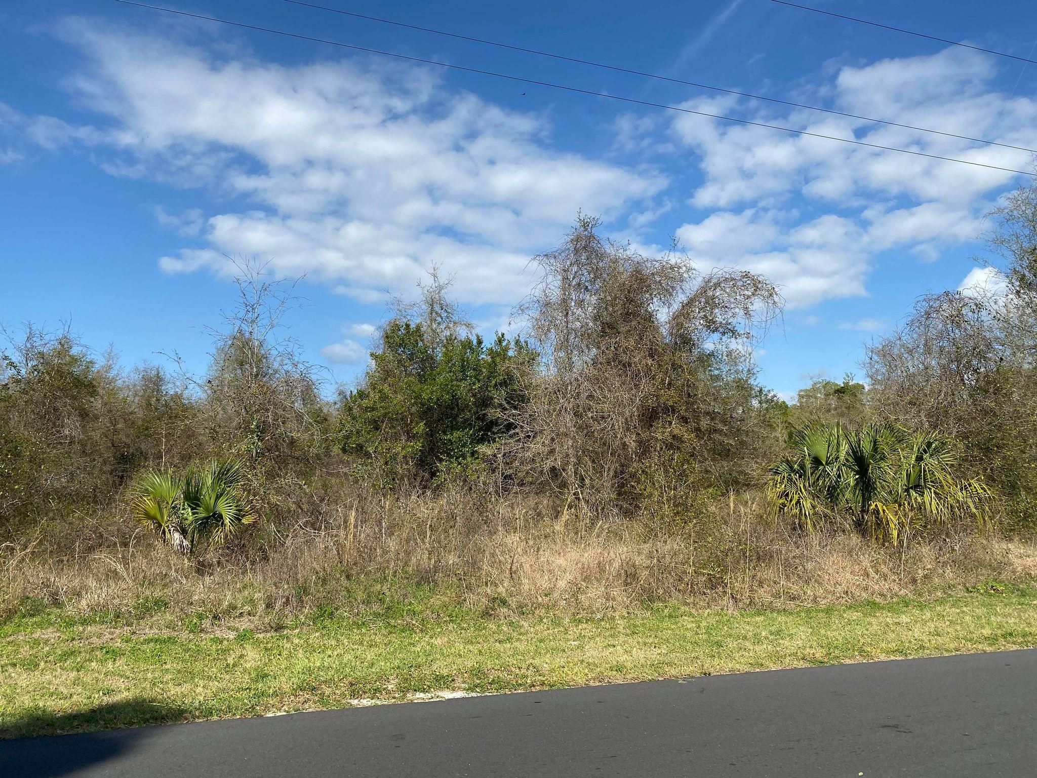 Chiefland, Levy County, FL Undeveloped Land for sale Property ID