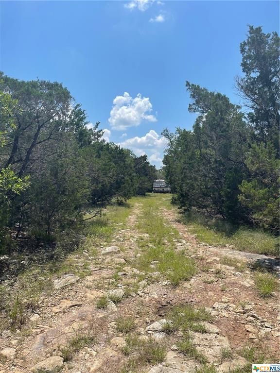 San Marcos, Hays County, TX Undeveloped Land for sale Property ID