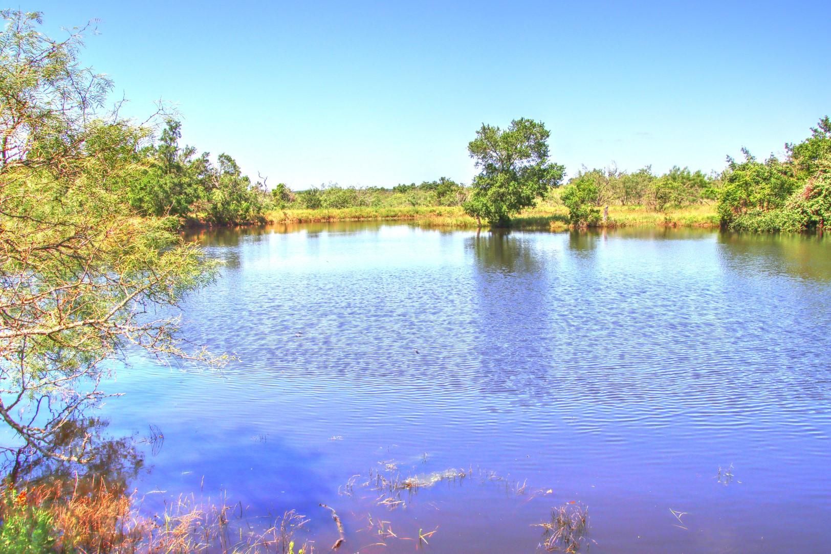 Willow City, Gillespie County, TX Farms and Ranches, Recreational Property, Undeveloped Land for