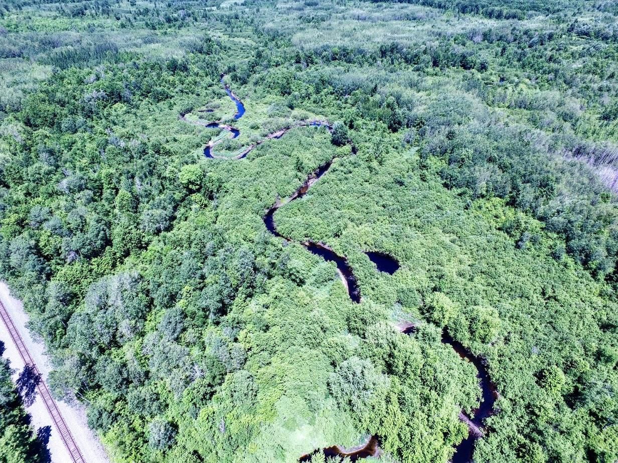 Ladysmith, Rusk County, WI Hunting Property, Riverfront Property, Waterfront Property for sale