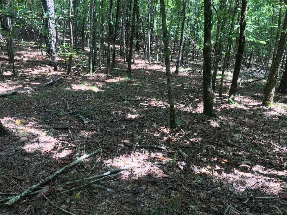 Ackerman, Choctaw County, MS Recreational Property, Timberland Property