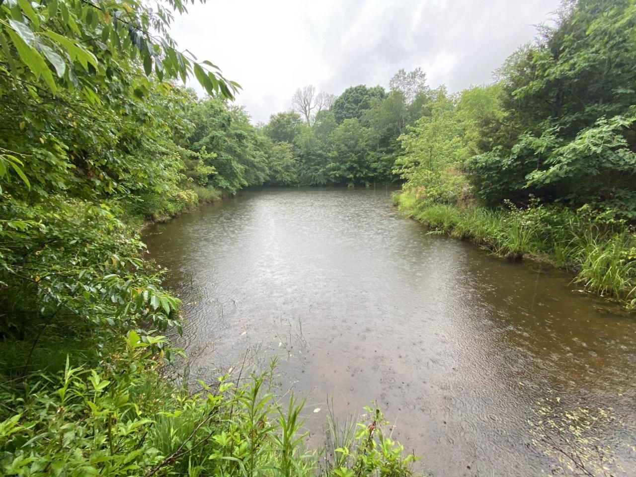 Liberty, Casey County, KY Recreational Property, Undeveloped Land