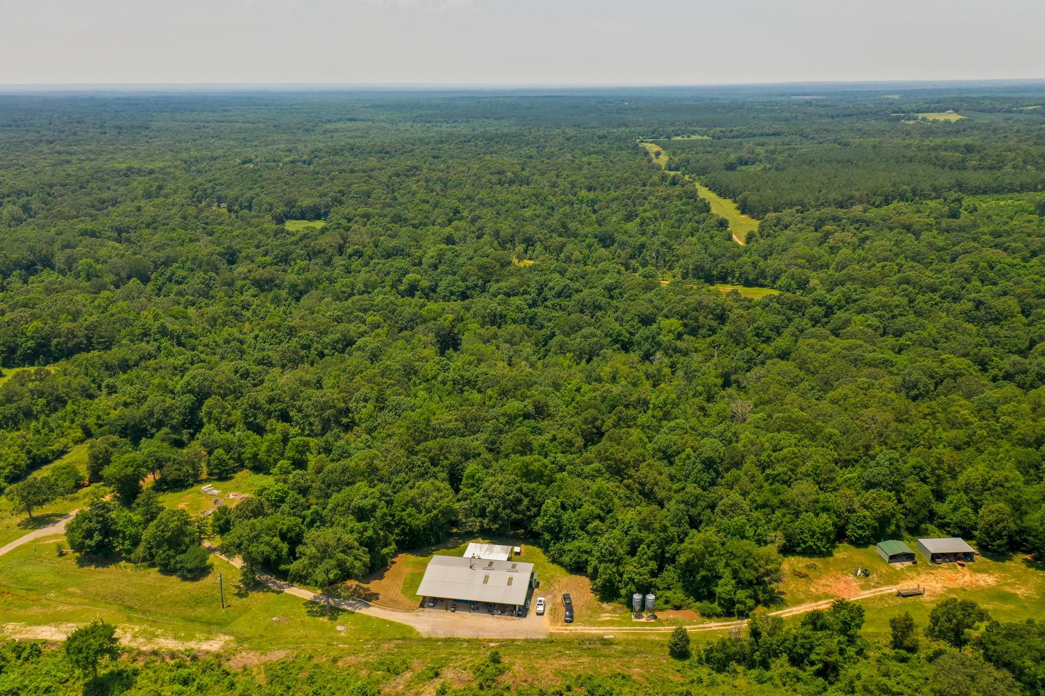 400 acres in Cushing, TX, 75760 LandWatch