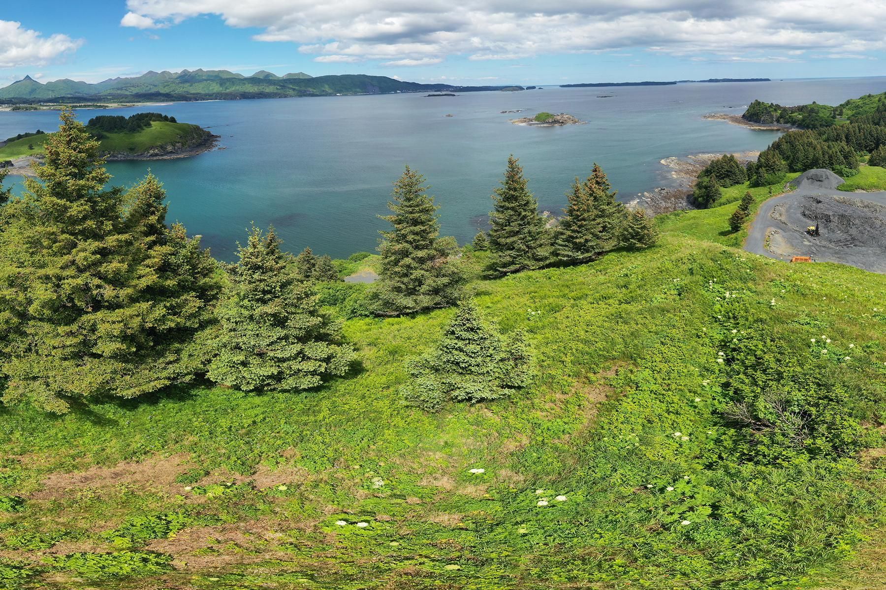 Kodiak, Kodiak Island Borough, AK Recreational Property, Oceanfront Property, Waterfront
