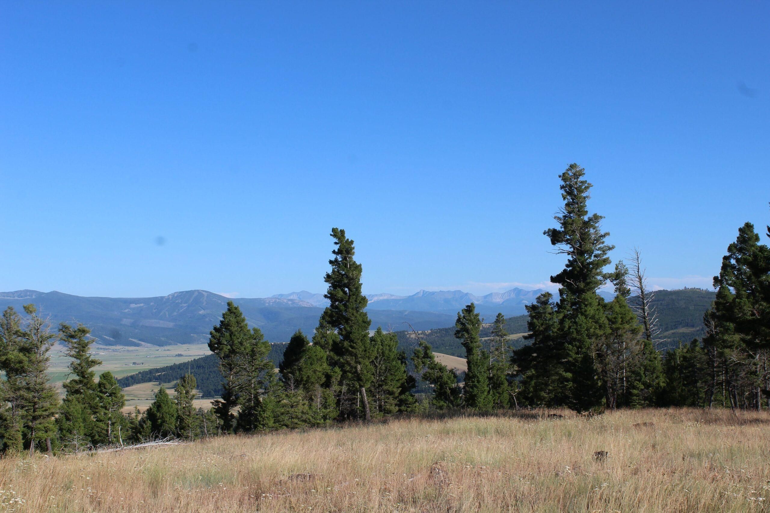 Philipsburg, Granite County, MT Recreational Property, Undeveloped Land