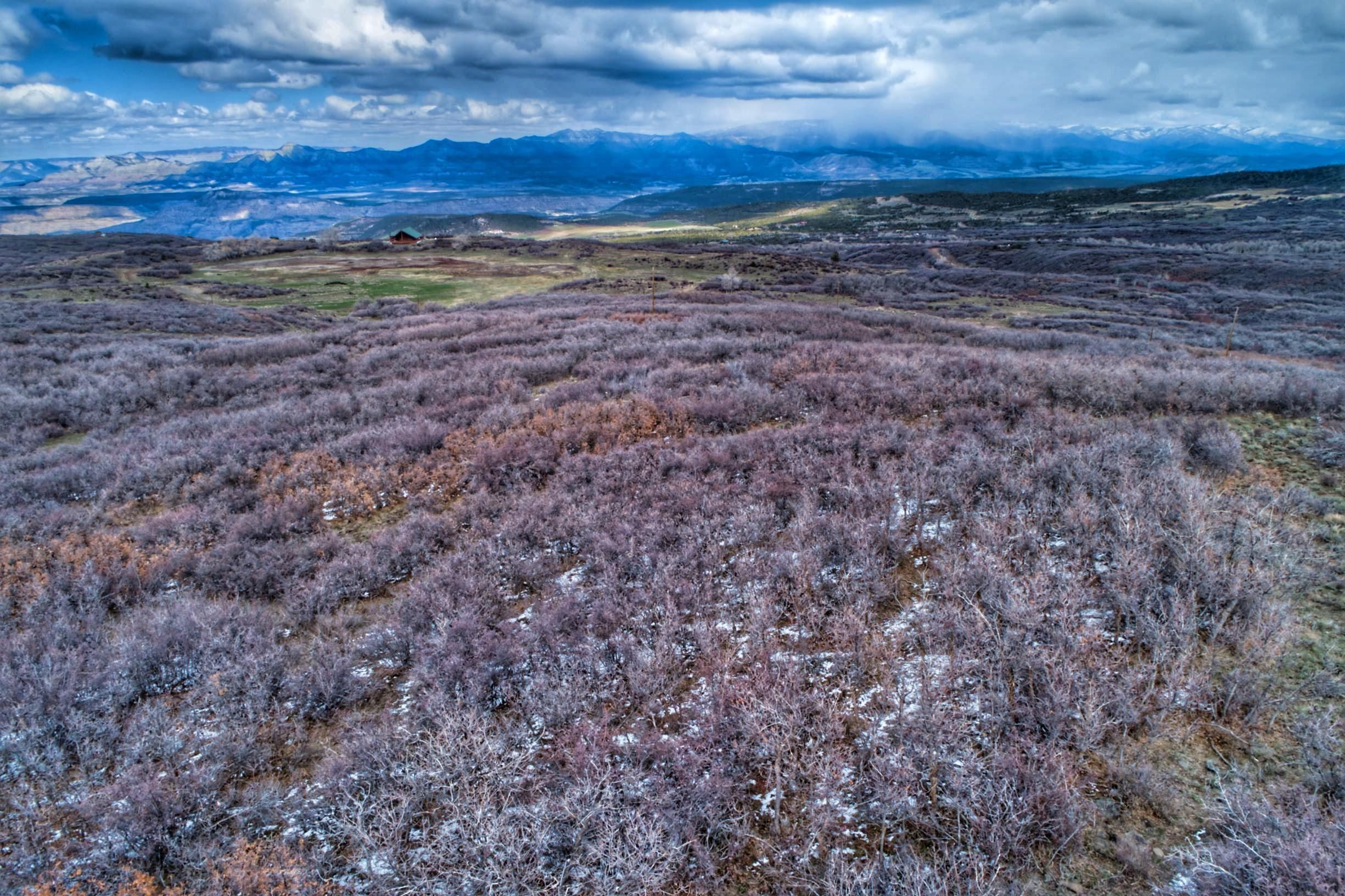 Mesa, Mesa County, CO Recreational Property, Hunting Property for sale