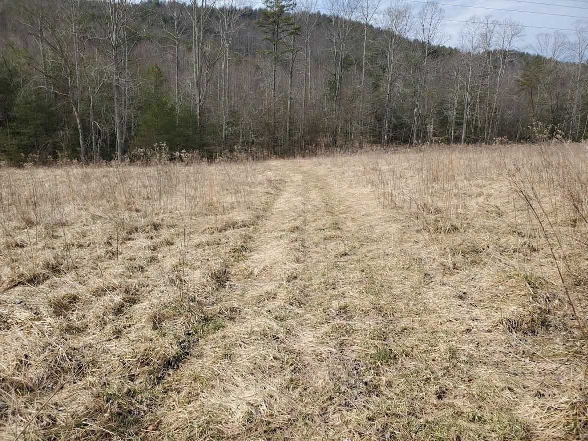 Mcgrady, Wilkes County, NC Recreational Property, Undeveloped Land for