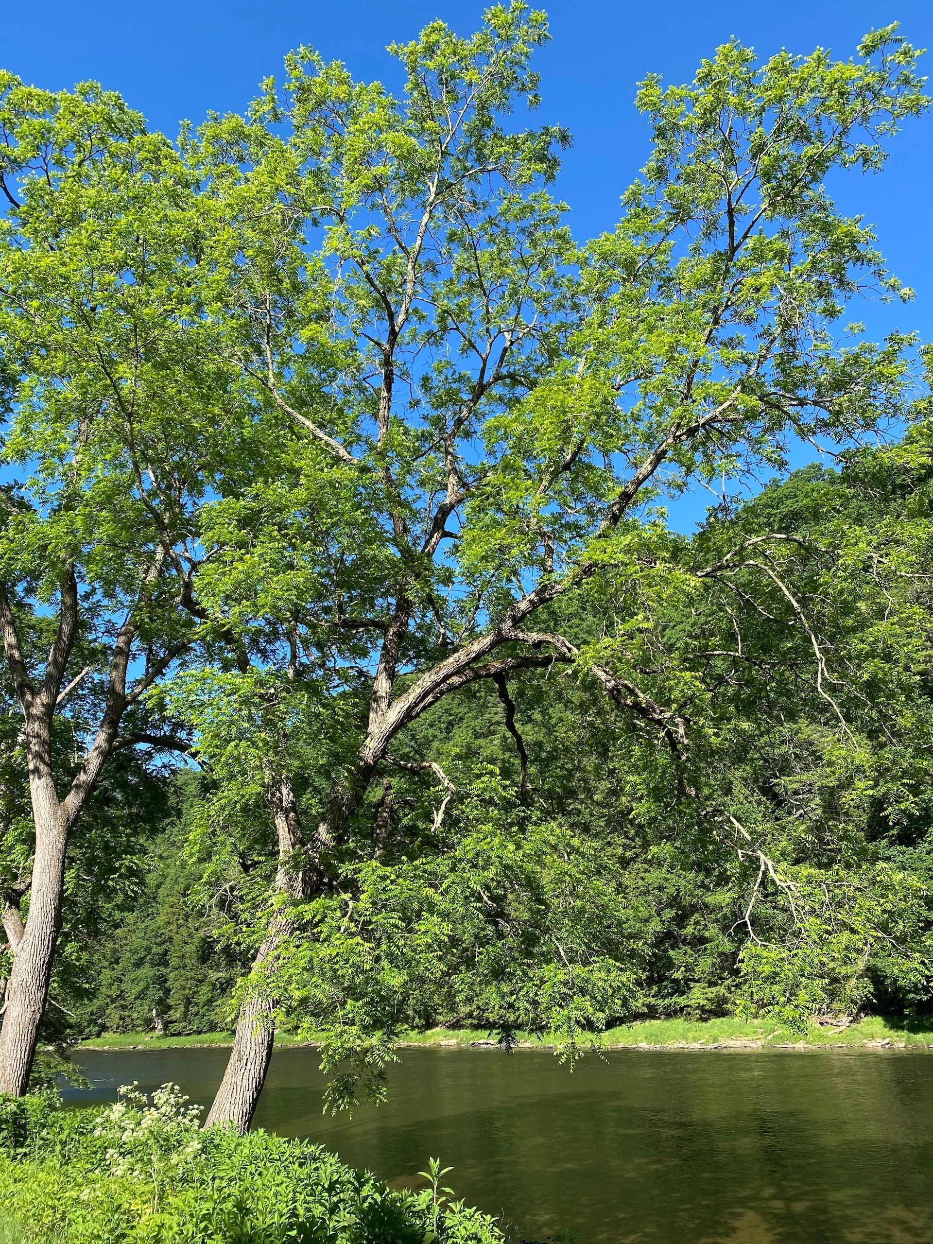 River Road, LOTWP001, Cooksburg, PA 15828 LandWatch