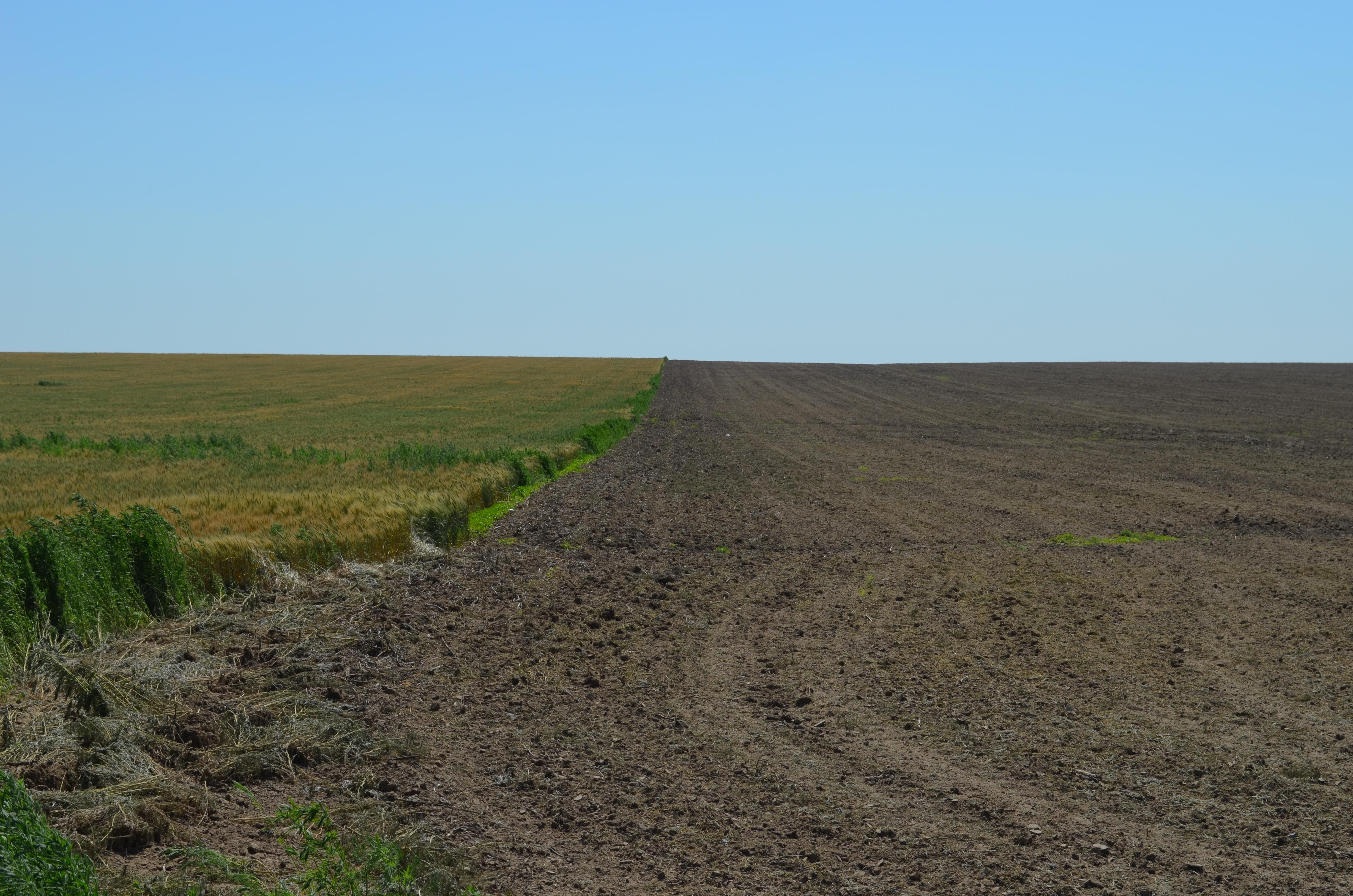 640 acres in Syracuse, KS, 67878 LandWatch