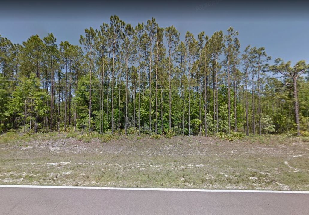 Fountain, Calhoun County, FL Undeveloped Land for sale Property ID