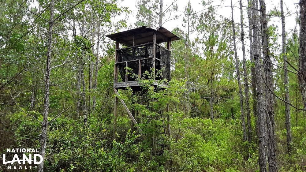 Raiford, Union County, FL Recreational Property, Timberland Property