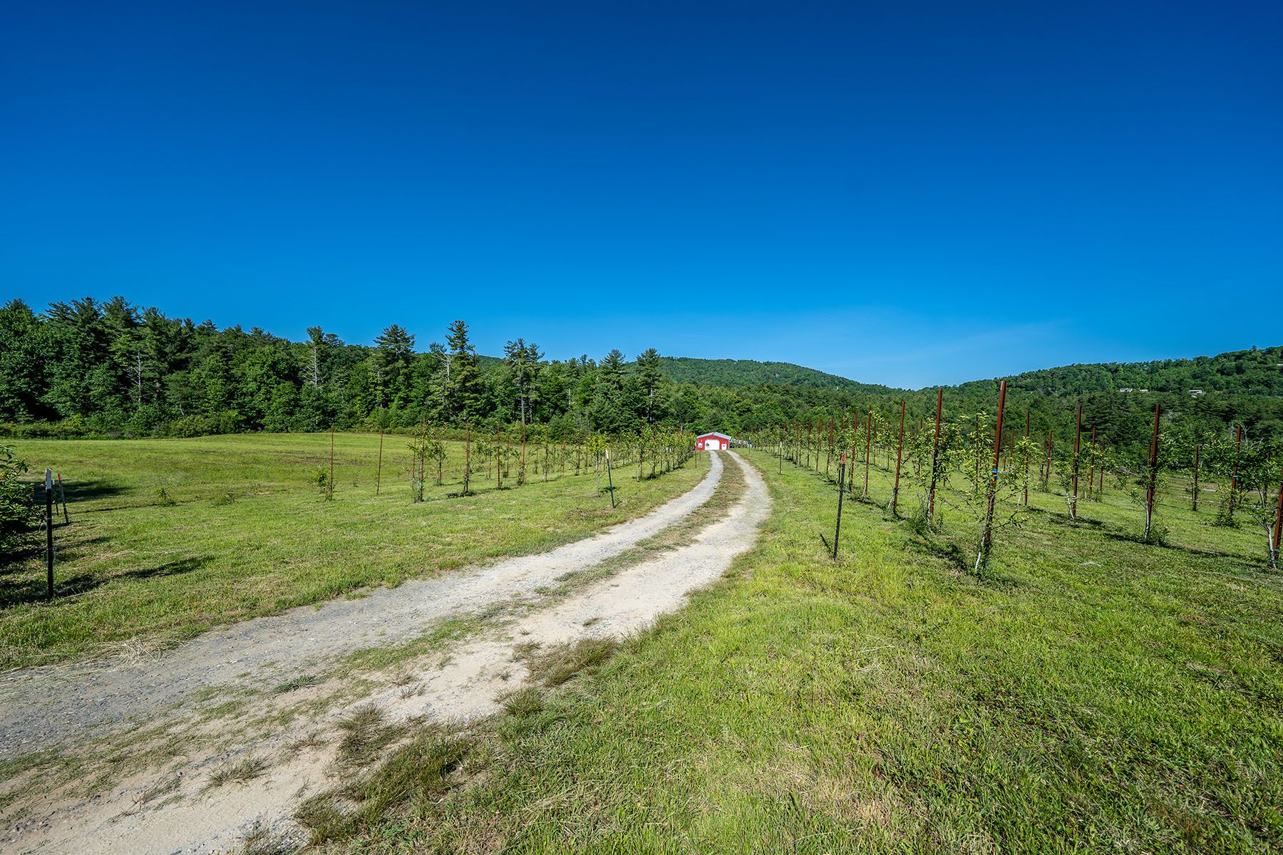 Newland, Avery County, NC Undeveloped Land for sale Property ID