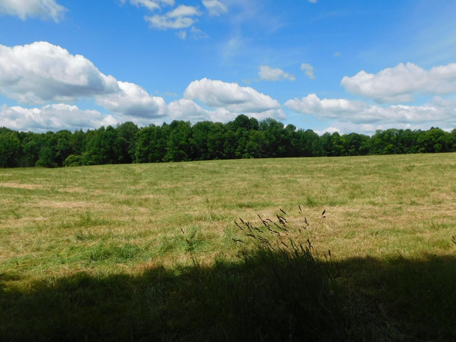 New Berlin, Otsego County, NY Farms and Ranches, Recreational Property