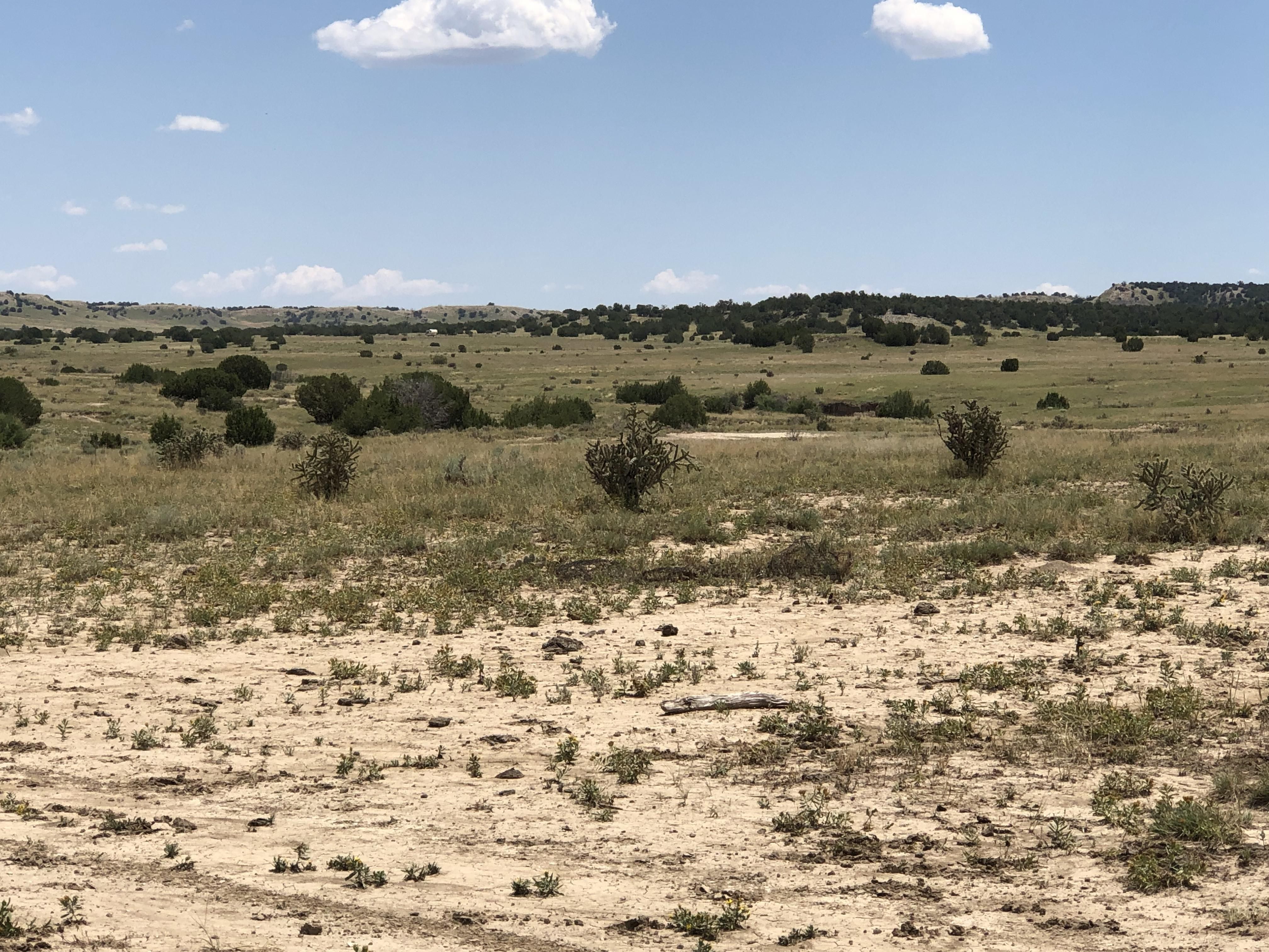 Model, Las Animas County, CO Farms and Ranches, Hunting Property for
