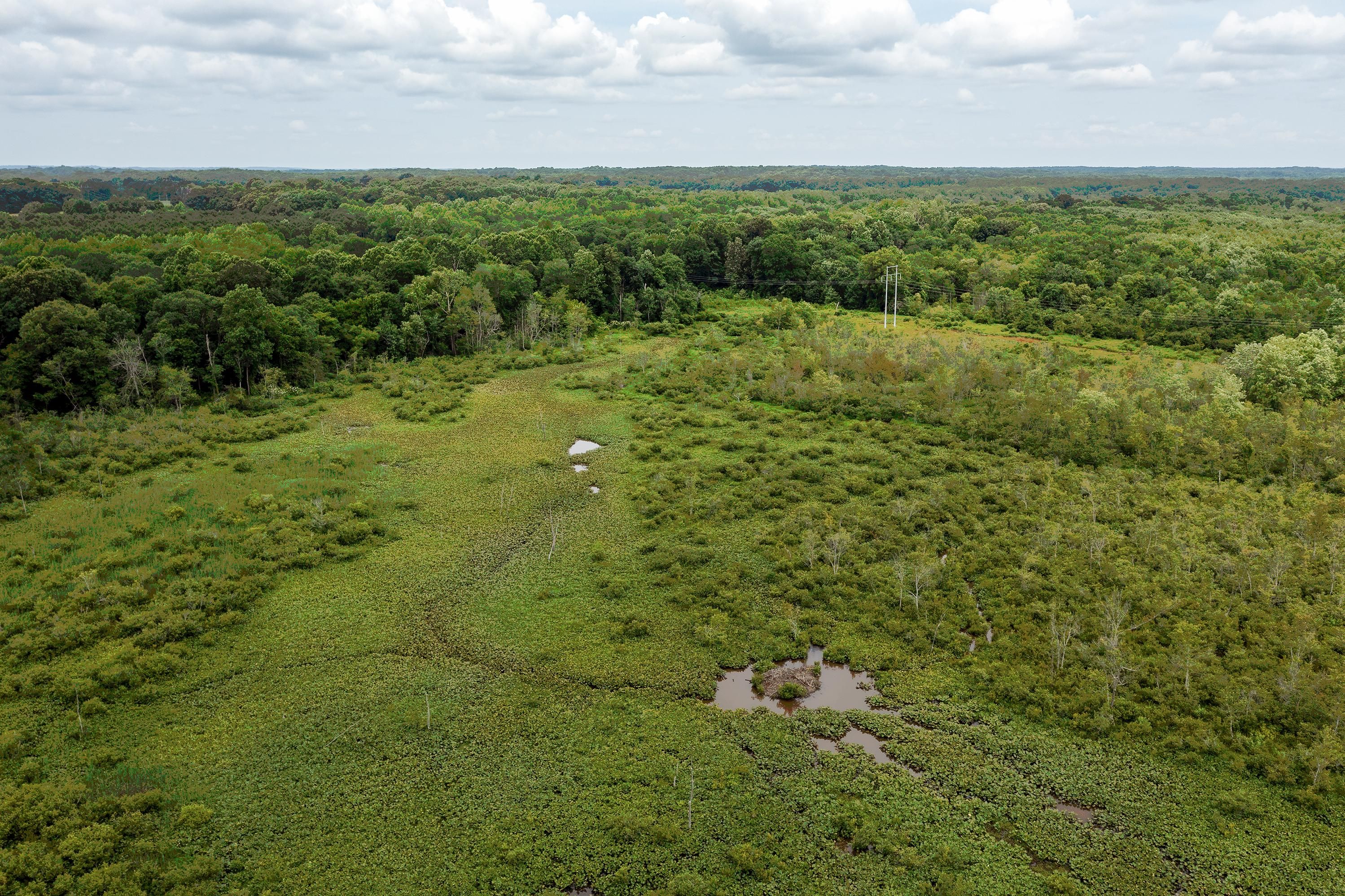Westport, Carroll County, TN Recreational Property, Undeveloped Land