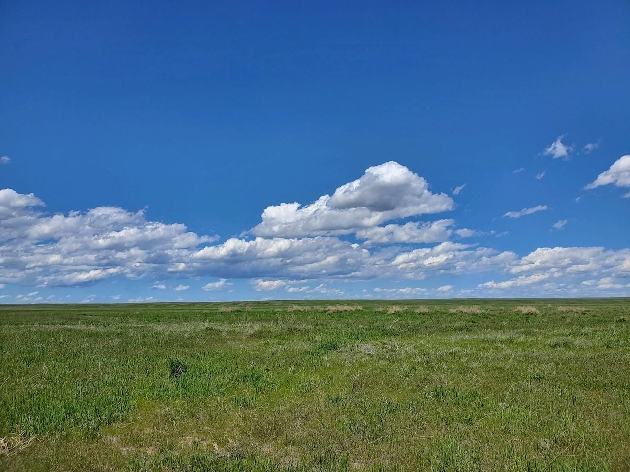 Nunn, Weld County, CO Recreational Property, Undeveloped Land for sale