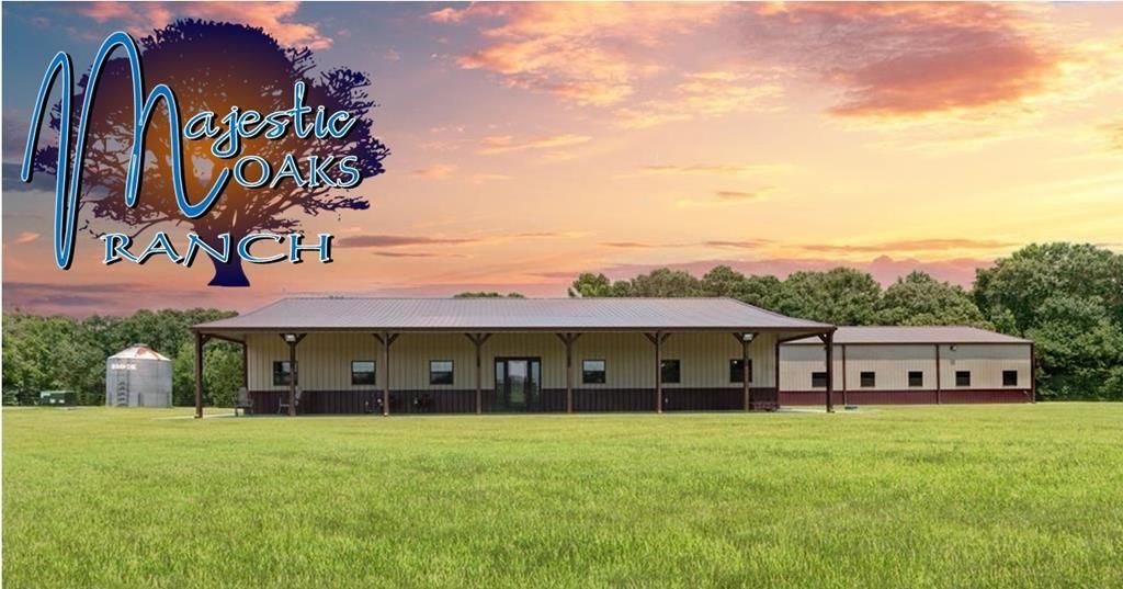 6533 FM279, Ben Wheeler, TX 75754 MLS 14610626 LandWatch