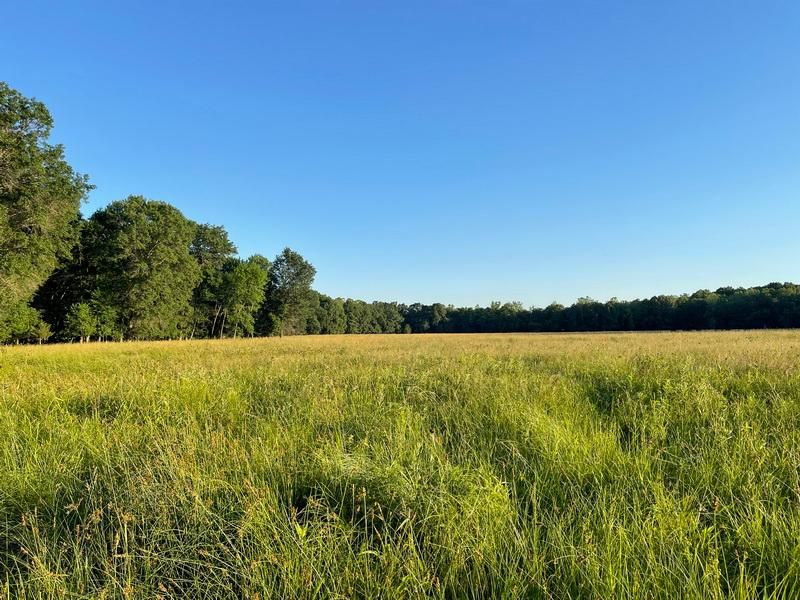 2625th Road, Milo, MO 64767 MLS 2413321102 LandWatch