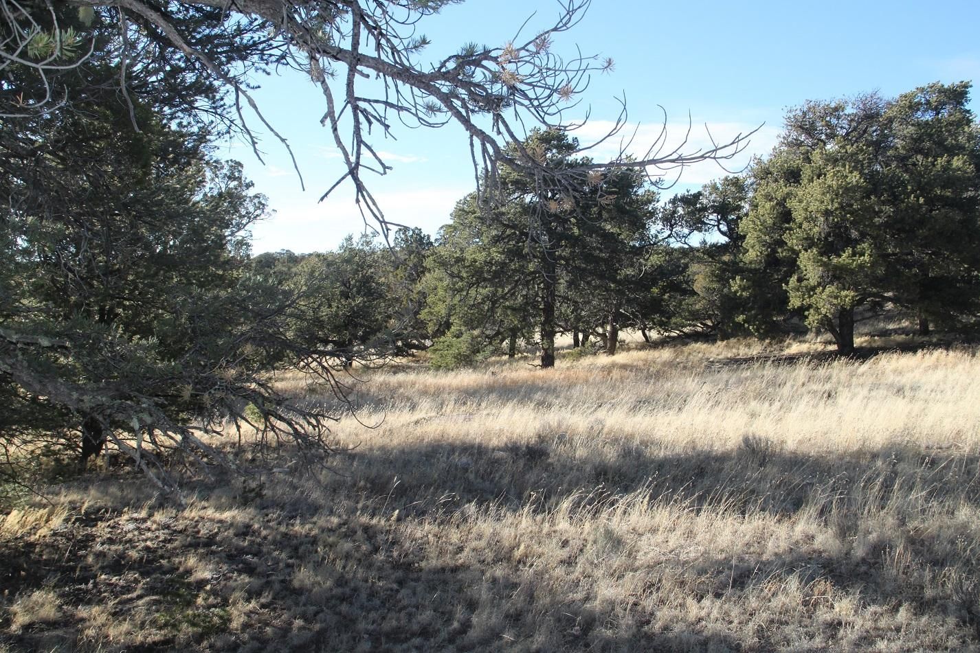Pie Town, Catron County, NM Recreational Property, Undeveloped Land for