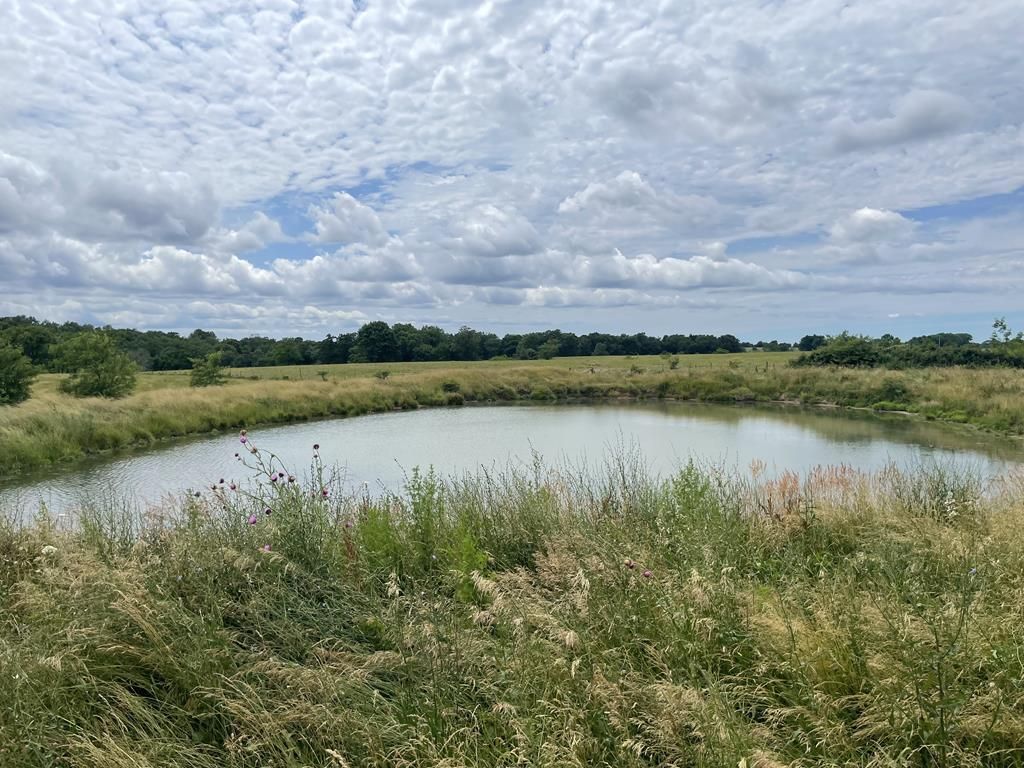 Silex, Lincoln County, MO Recreational Property, Hunting Property for sale Property ID