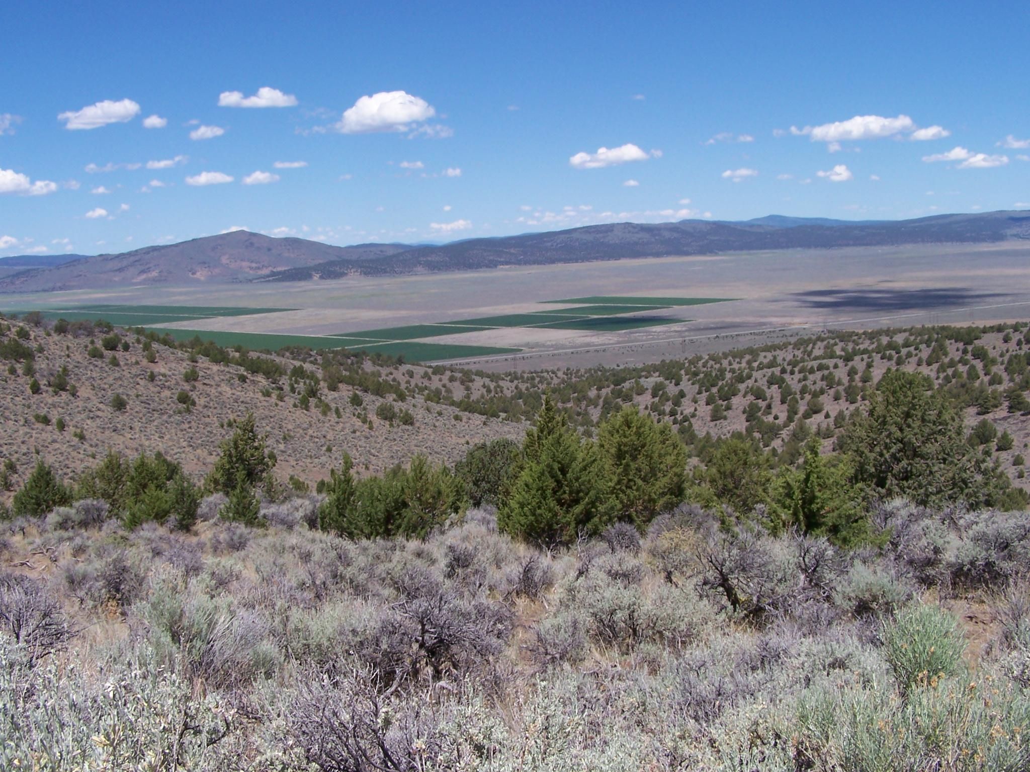 1,960 acres in Ravendale, CA, 96123 LandWatch