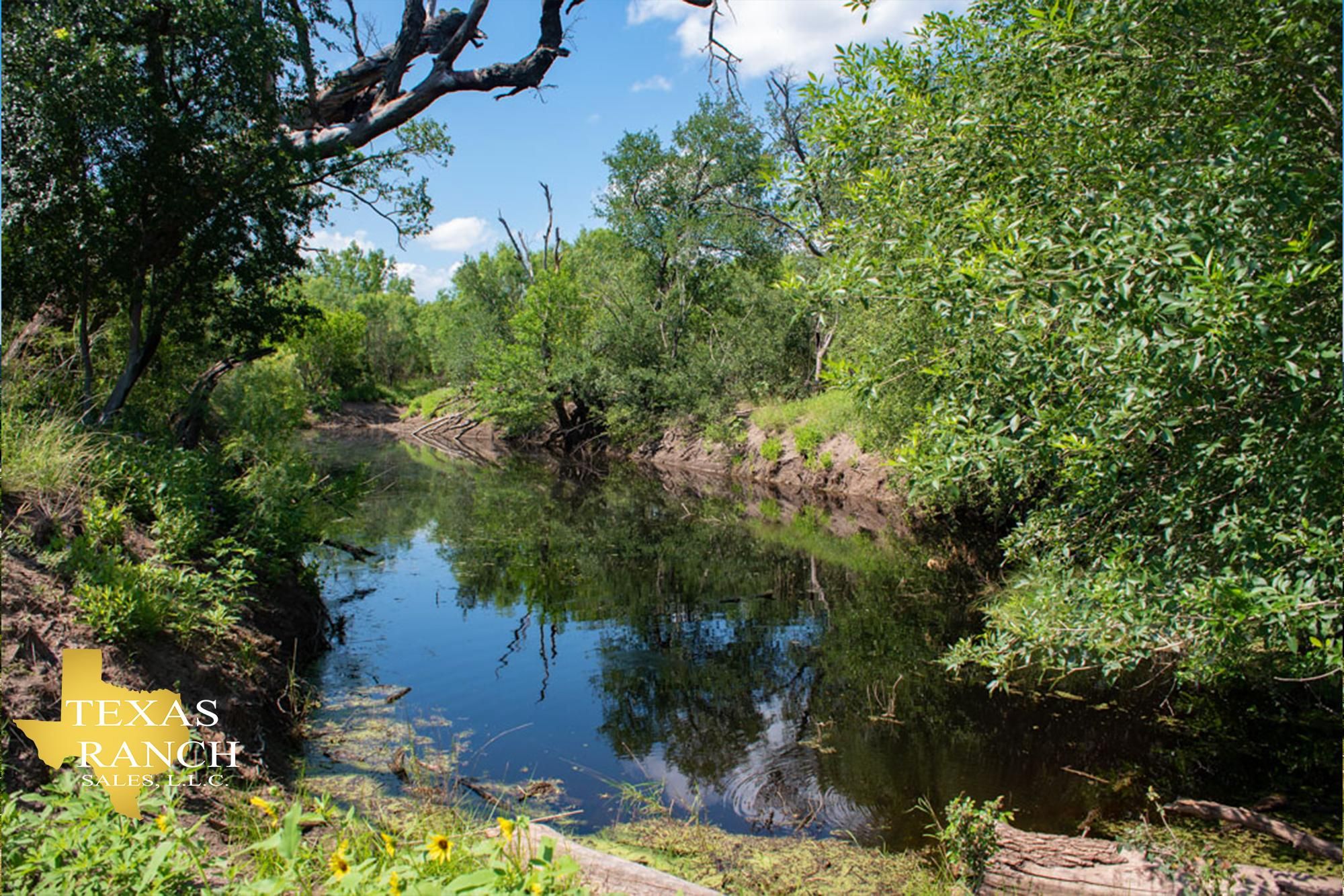 Pearsall, Frio County, TX Farms and Ranches, Recreational Property