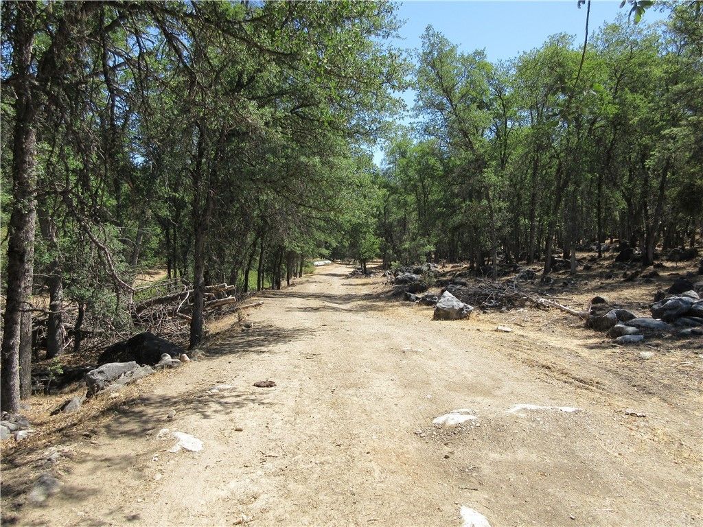 Murphys, Calaveras County, CA Undeveloped Land for sale Property ID