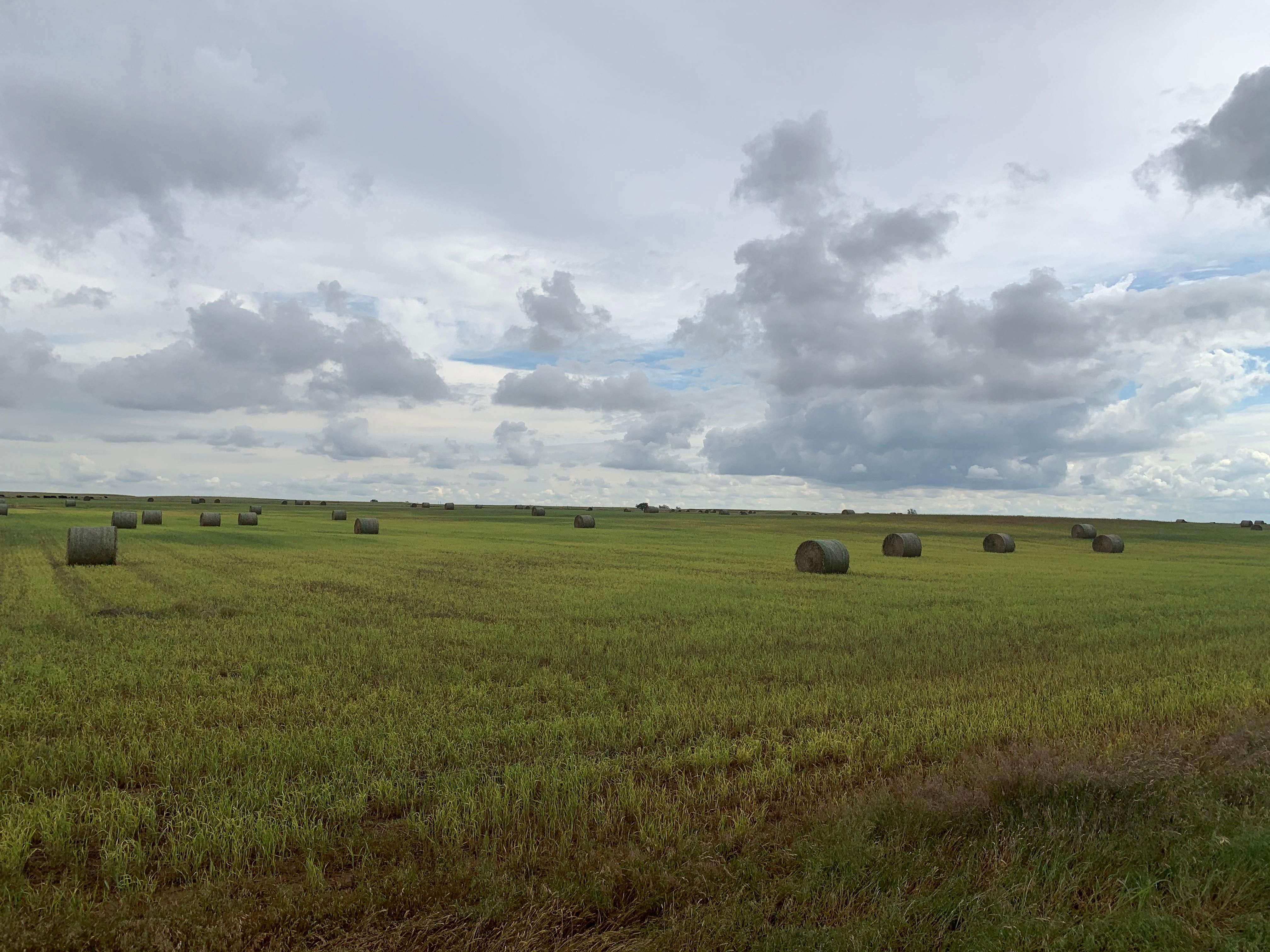 Hitchcock, Blaine County, OK Farms and Ranches, Hunting Property for