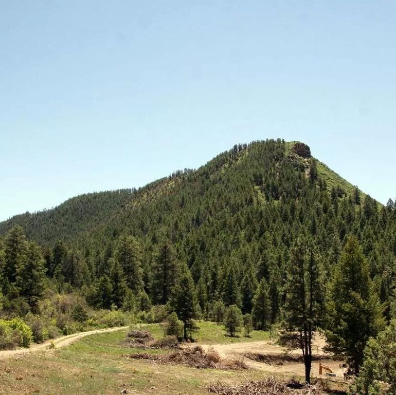 Pagosa Springs, Archuleta County, CO Undeveloped Land, Homesites for